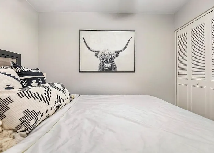 Free Heated Pool!/gorgeous 4 Bedroom Spring Break